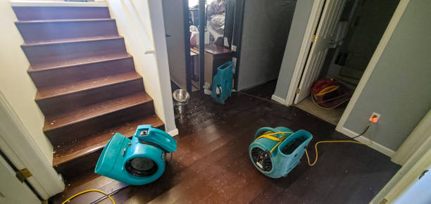 Best Residential water damage restoration  in Jemison, AL