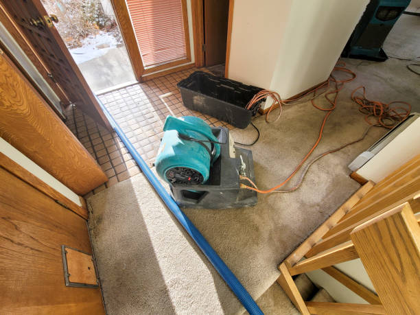  Jemison, AL Water damage restoration Pros