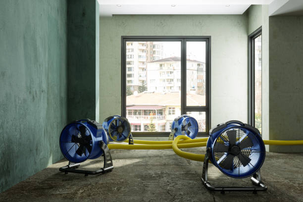 Best Professional water damage repair  in Jemison, AL