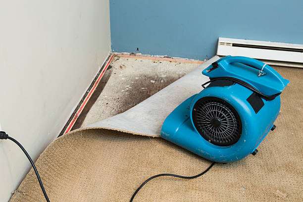 Best 24-hour water damage restoration  in Jemison, AL